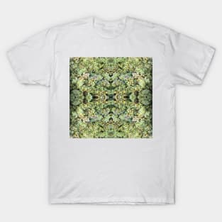 Semillon Grapes - Wine Region in Vintage - Adelaide Hills / Fleurieu Peninsula by Avril Thomas T-Shirt